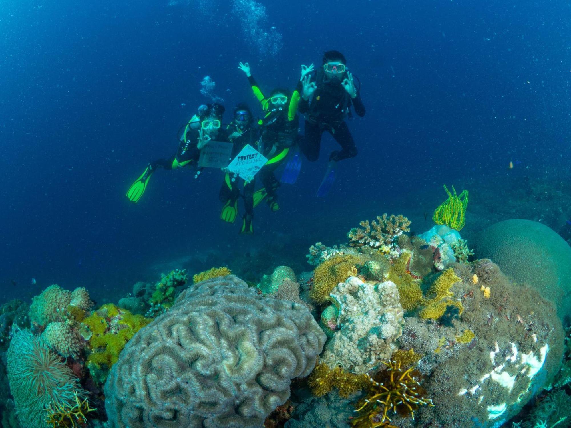 Liberty'S Lodge And Diving - Apo Island Dumaguete City Ngoại thất bức ảnh
