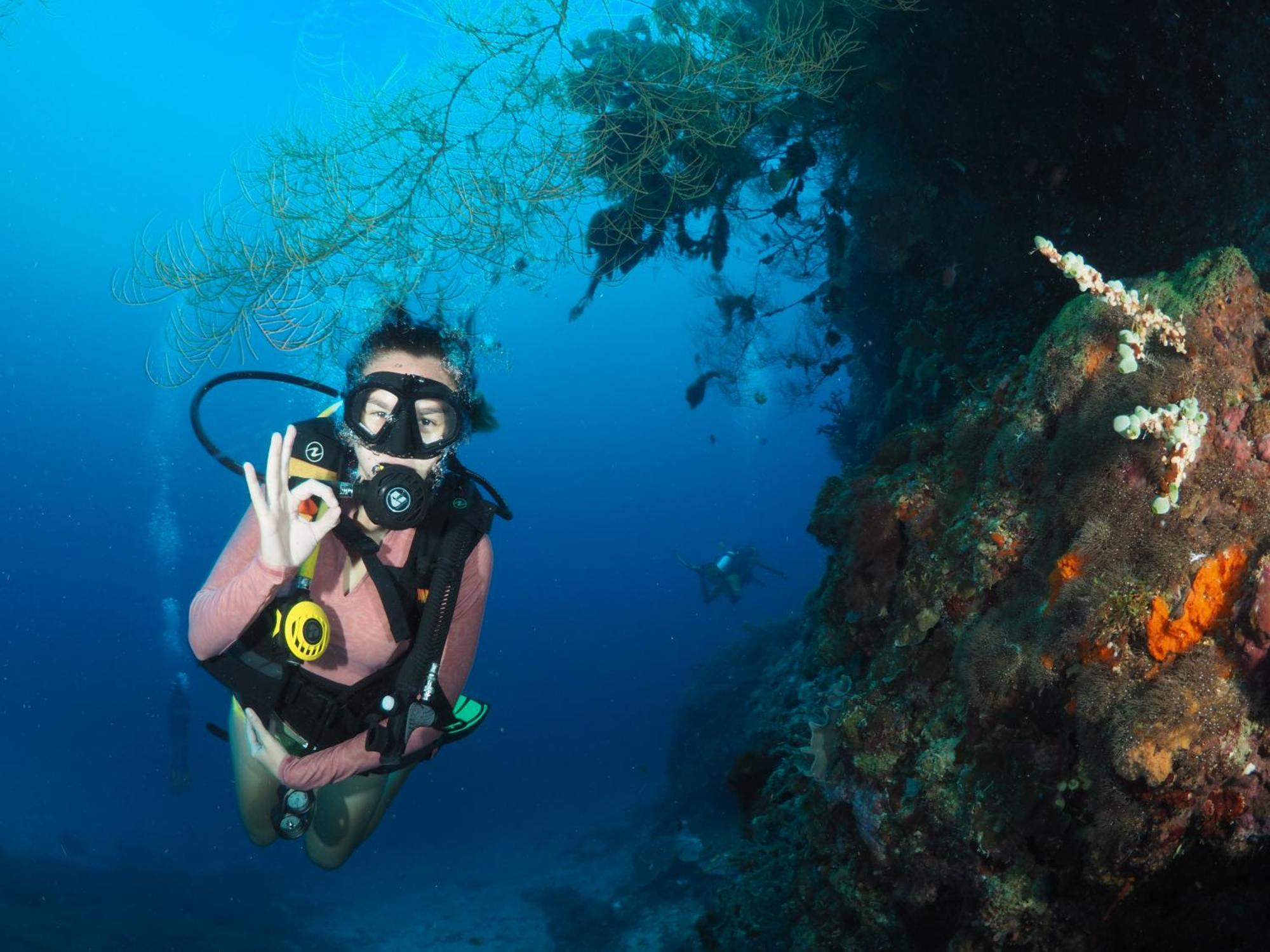 Liberty'S Lodge And Diving - Apo Island Dumaguete City Ngoại thất bức ảnh