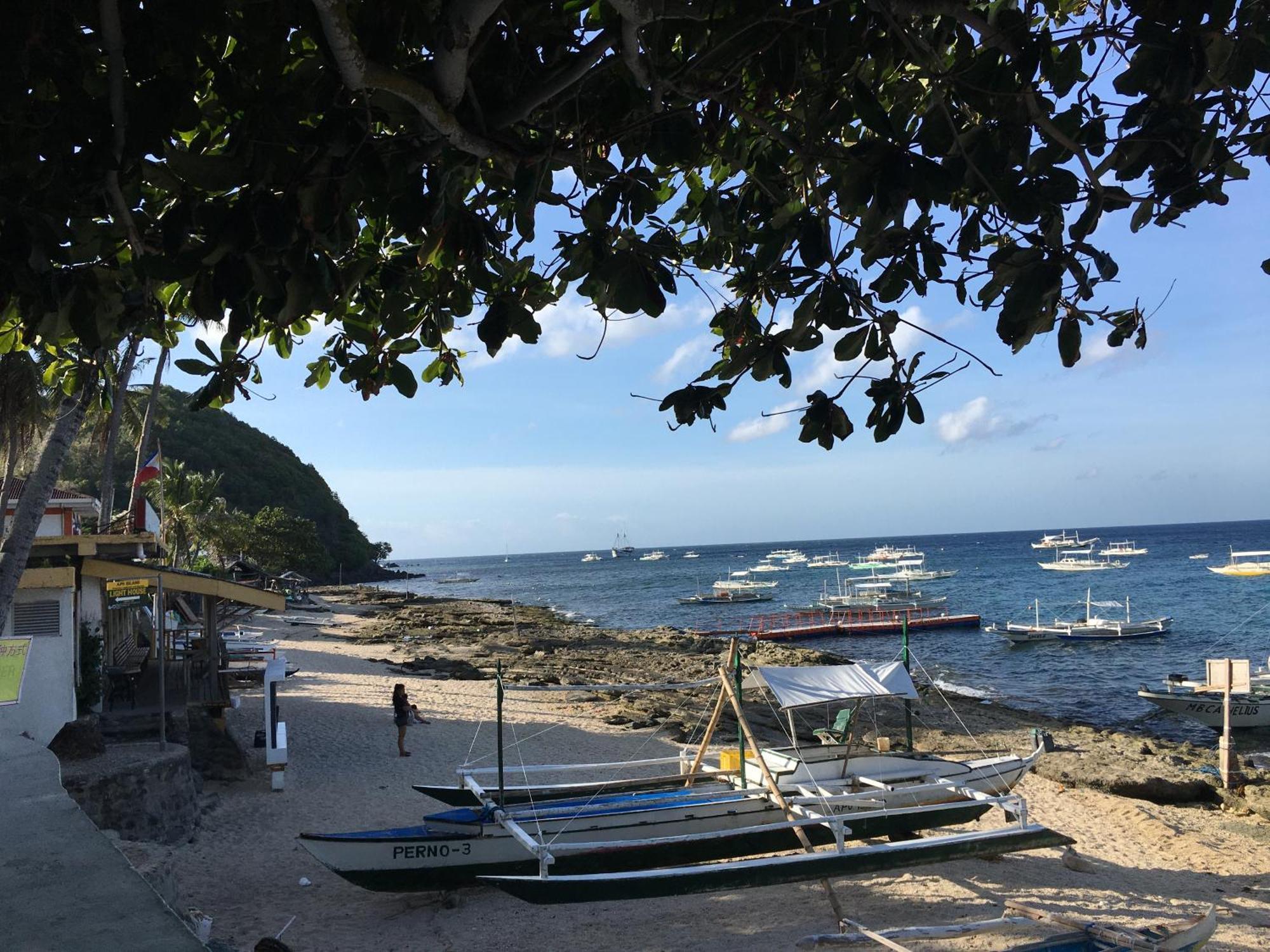Liberty'S Lodge And Diving - Apo Island Dumaguete City Ngoại thất bức ảnh