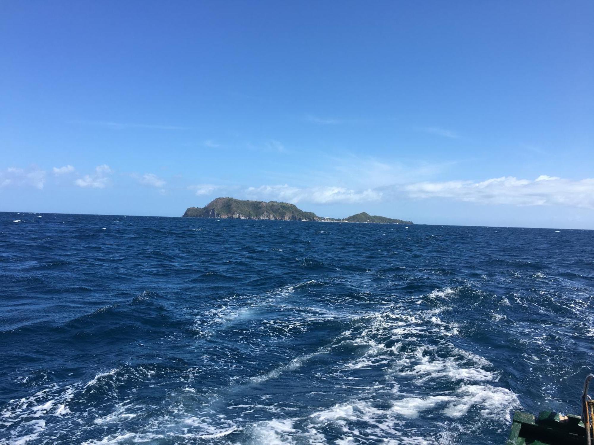 Liberty'S Lodge And Diving - Apo Island Dumaguete City Ngoại thất bức ảnh