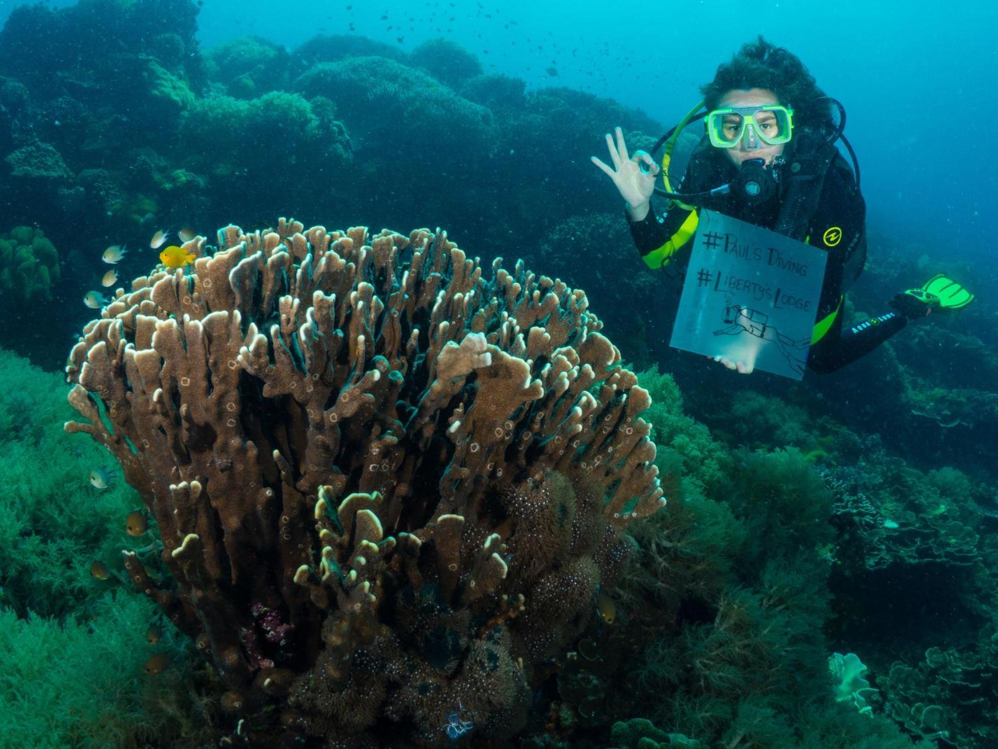 Liberty'S Lodge And Diving - Apo Island Dumaguete City Ngoại thất bức ảnh