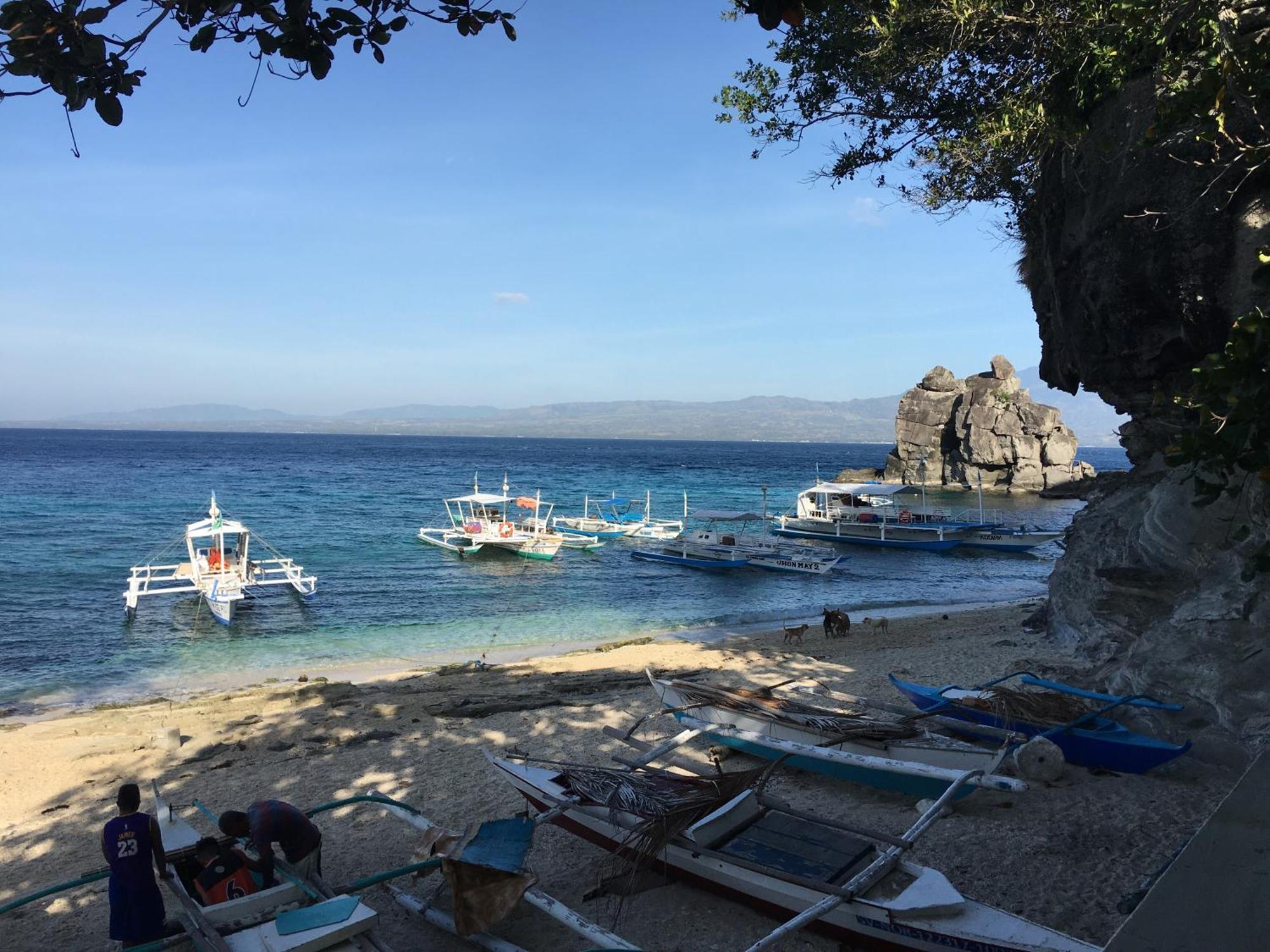 Liberty'S Lodge And Diving - Apo Island Dumaguete City Ngoại thất bức ảnh