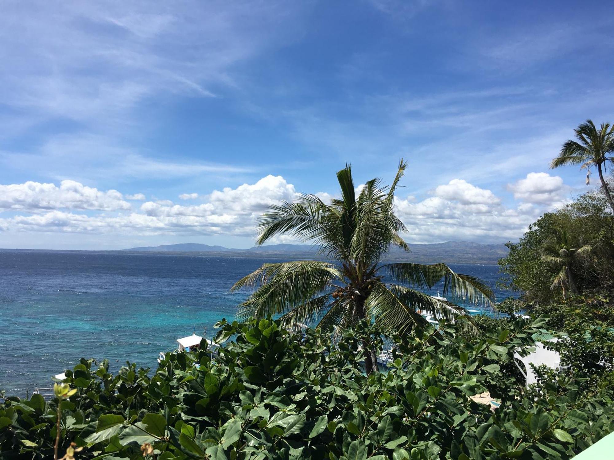 Liberty'S Lodge And Diving - Apo Island Dumaguete City Ngoại thất bức ảnh